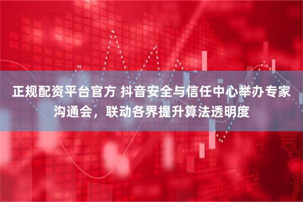 正规配资平台官方 抖音安全与信任中心举办专家沟通会，联动各界提升算法透明度